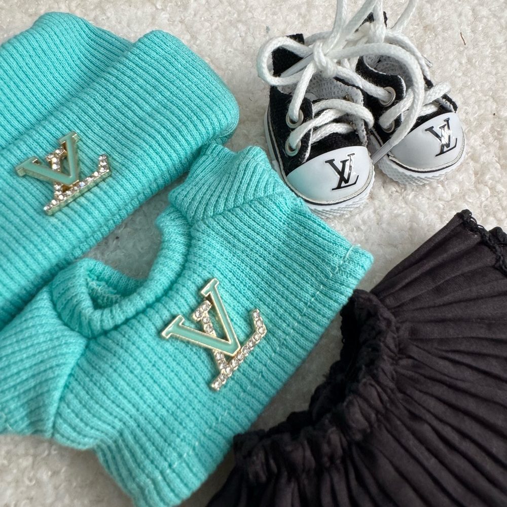 Labubu Outfit Set with Skirt and Shoes - Picture 2 of 2